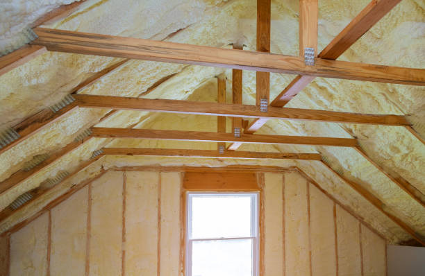 Best Specialized Insulation Services in Warsaw, KY