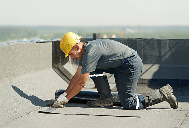 Best DIY Insulation Kits and Guidance in Warsaw, KY